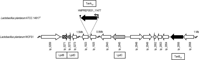 FIG 1