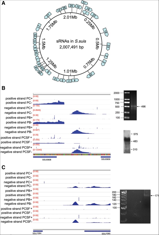 FIGURE 4.