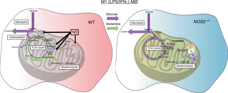 Fig. 8