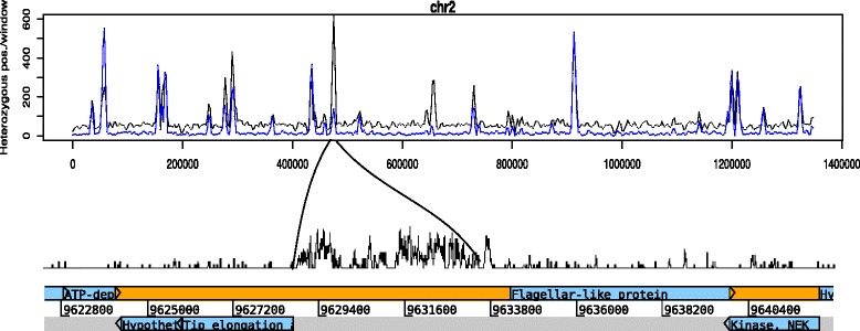 Fig. 3