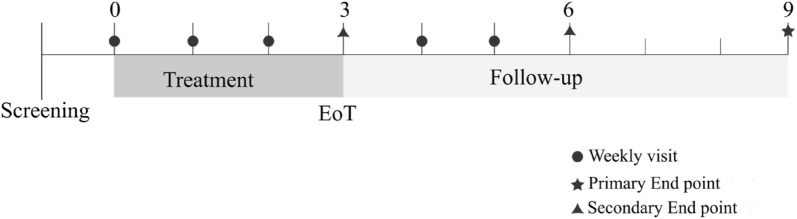 Fig. 1