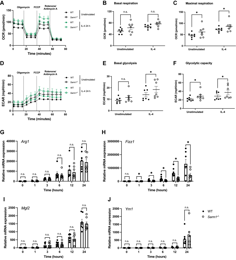 Figure 6