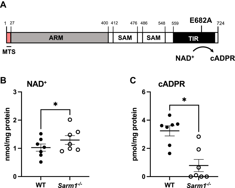 Figure 1