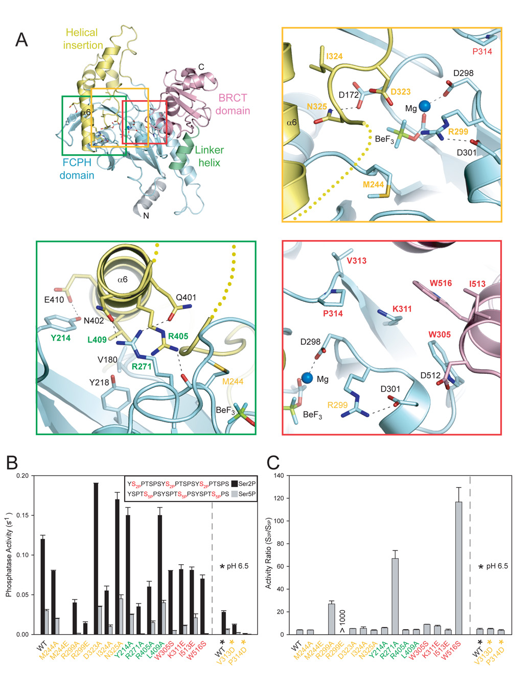 Figure 6