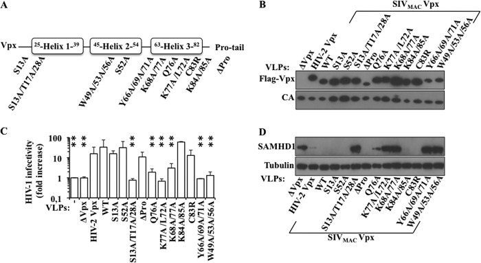 FIGURE 1.