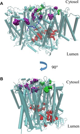 Fig. 2