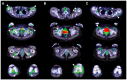 Figure 12.