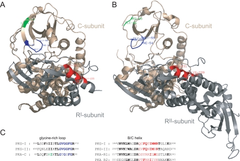 FIGURE 10.