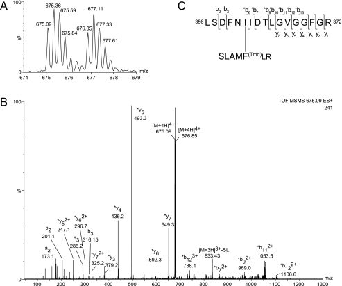 FIGURE 4.