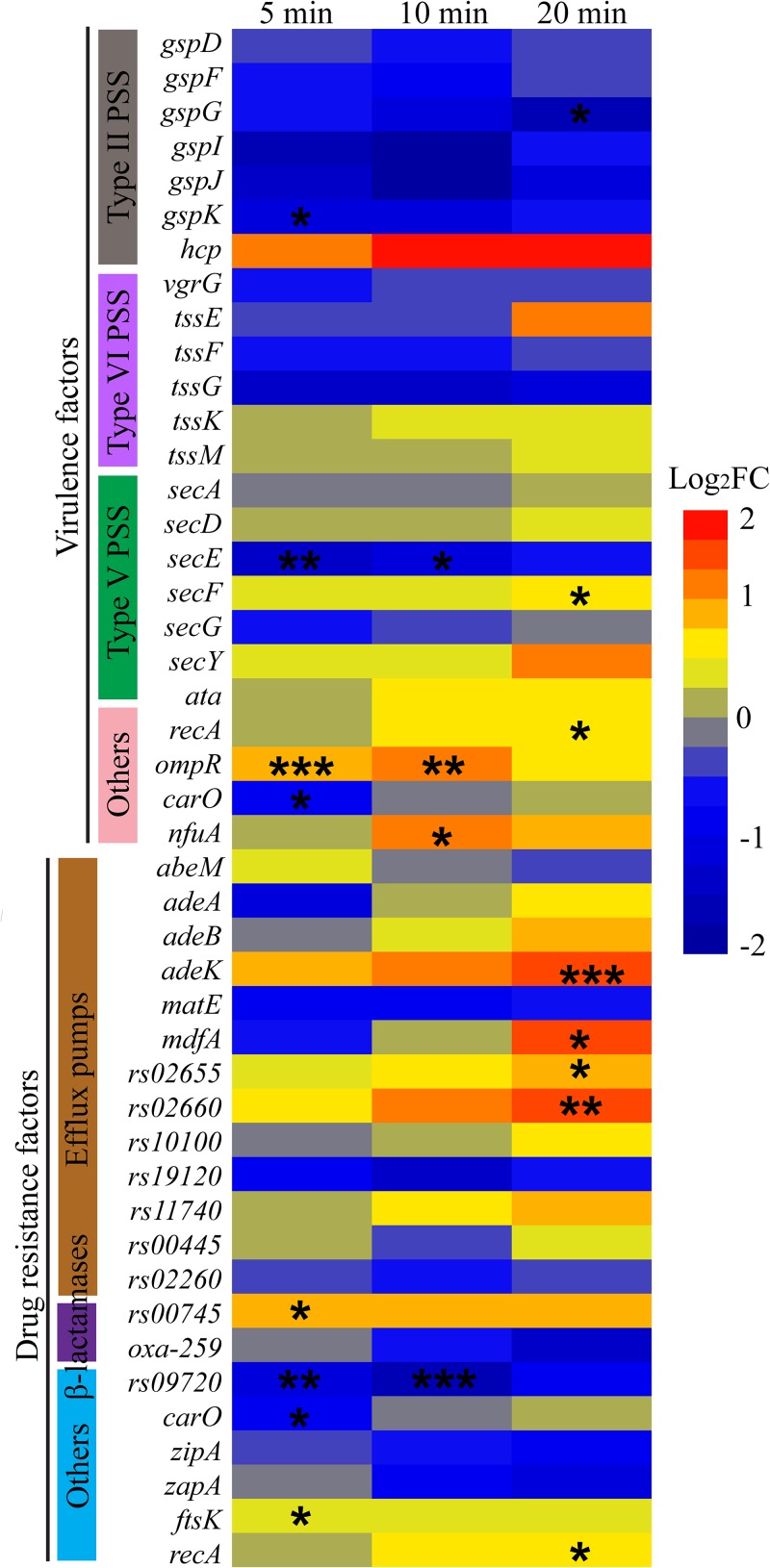 FIG 7