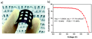 Figure 21