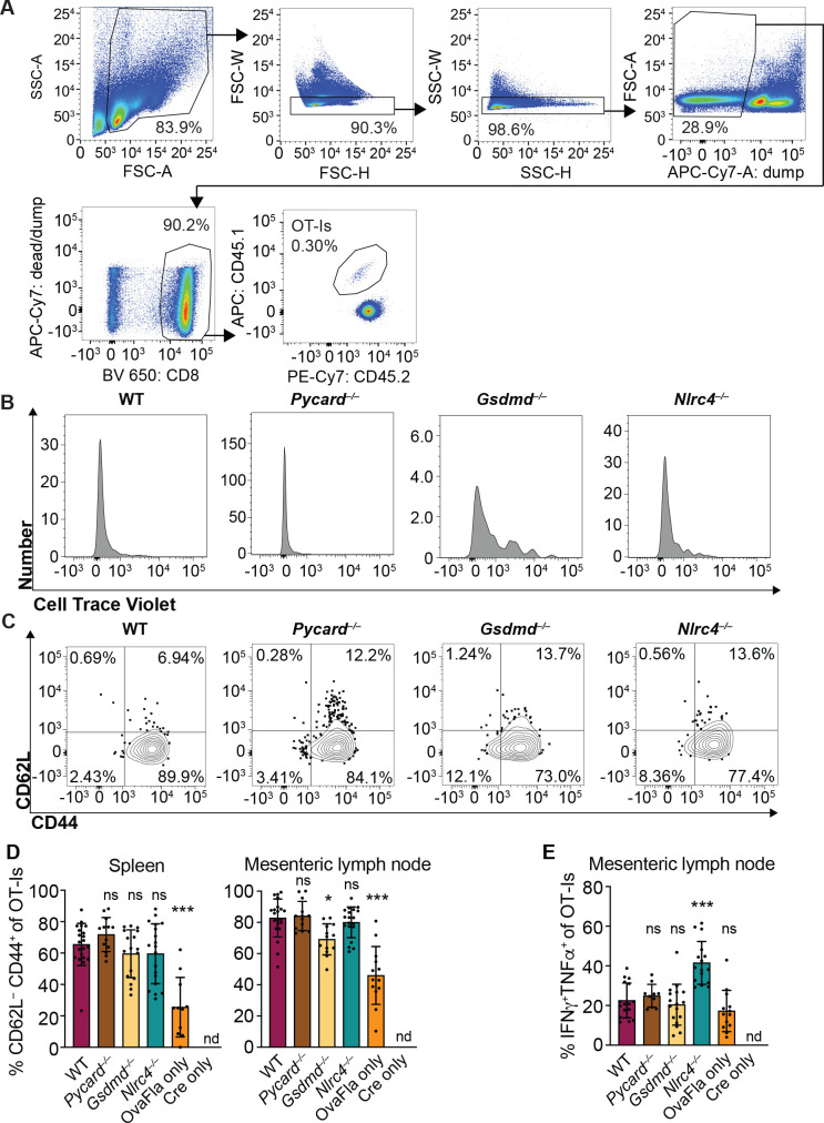 Figure 3—figure supplement 1.