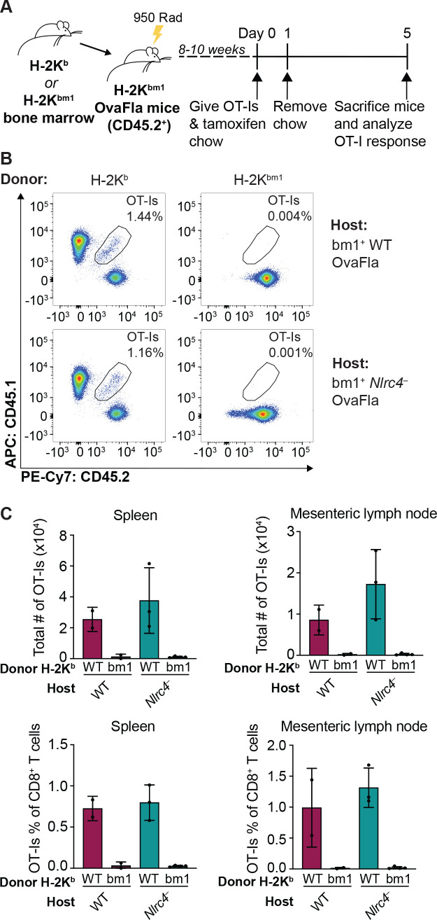 Figure 4—figure supplement 2.