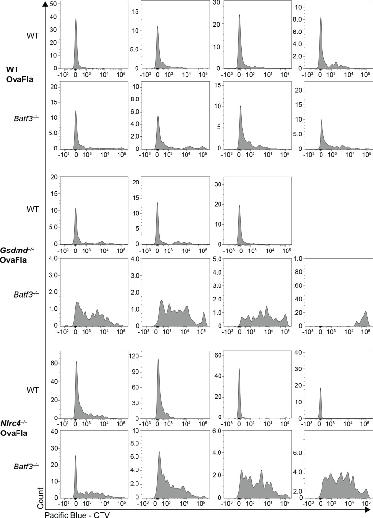 Figure 5—figure supplement 3.