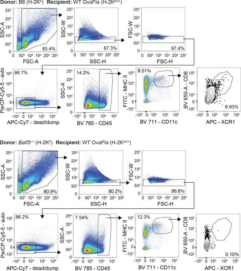 Figure 5—figure supplement 2.