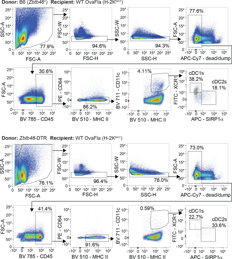 Figure 6—figure supplement 1.