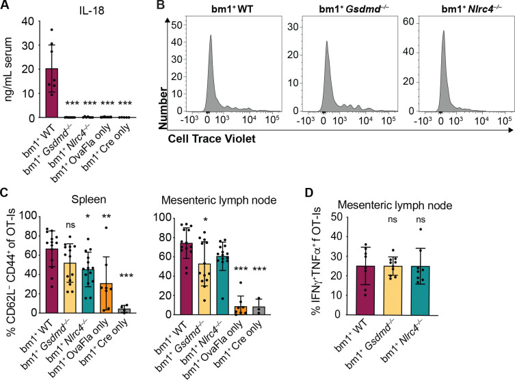 Figure 4—figure supplement 1.