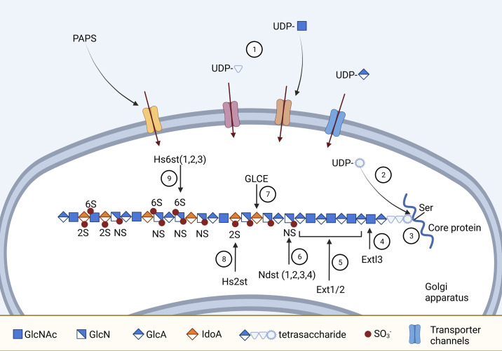 Figure 1.