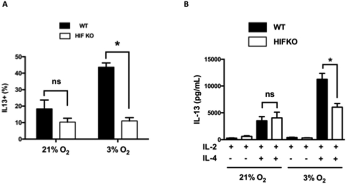 Figure 5: