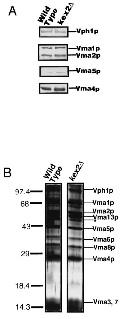 FIG. 7