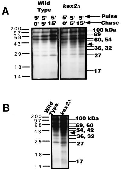 FIG. 6