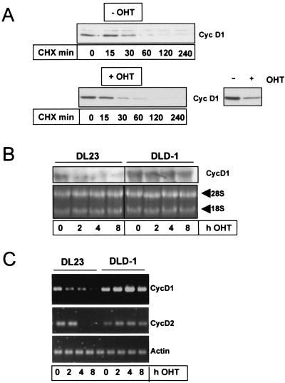 FIG. 5.