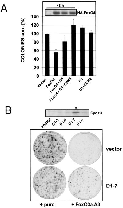 FIG. 8.