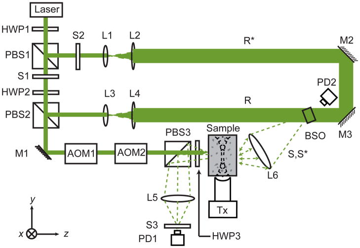 Fig. 1