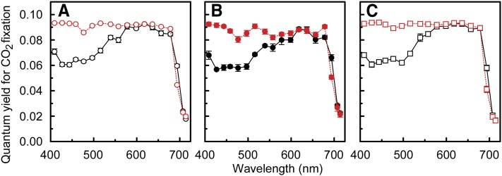 graphic file with name PC_240512_wc_f1.jpg