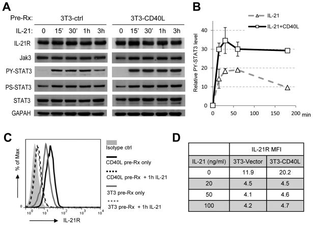 FIGURE 4