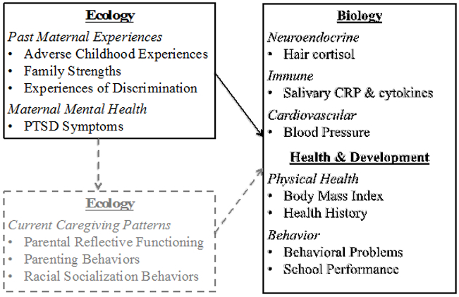 Figure 1: