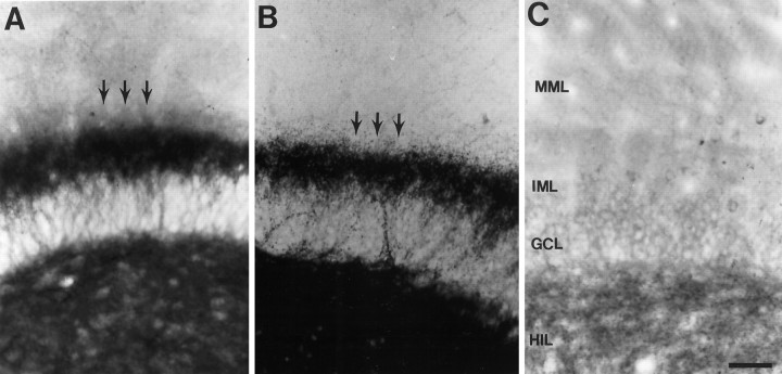 Fig. 9.