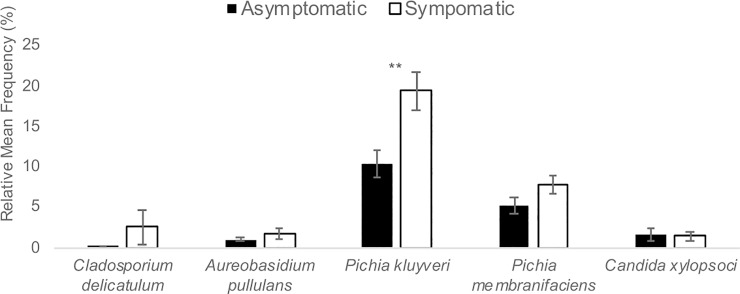 Fig 5