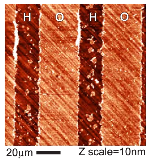 Figure 7.