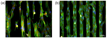 Figure 10.