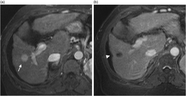 Fig. 8.