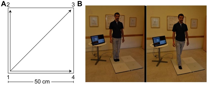 FIGURE 1