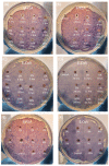 Figure 10