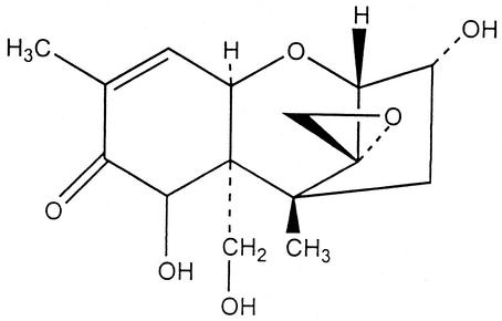 FIG. 8.