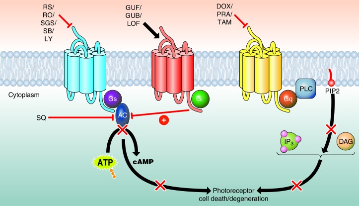 Figure 12