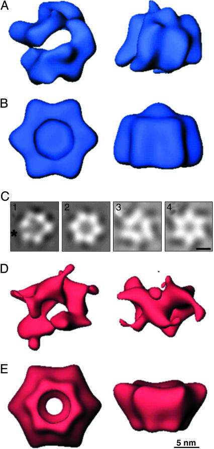 Fig. 2.