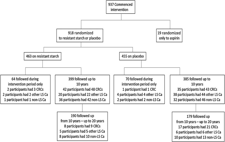 Figure 1. Trial profile showing distribution of participants by randomisation group and length of follow-up together with counted outcomes of cancer diagnoses among participants; colorectal cancer = colorectal cancer, LS Ca = Lynch syndrome associated cancers (other than colorectal cancer). colorectal cancer = colorectal cancer; LS Ca = Lynch syndrome associated cancers.