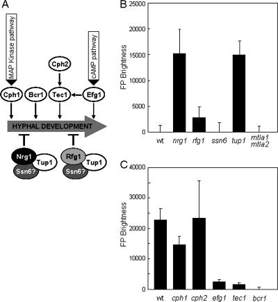 FIG. 3.