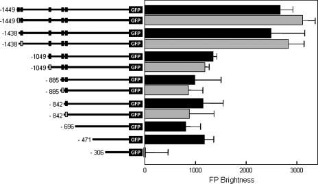 FIG. 4.