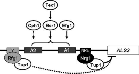 FIG. 8.