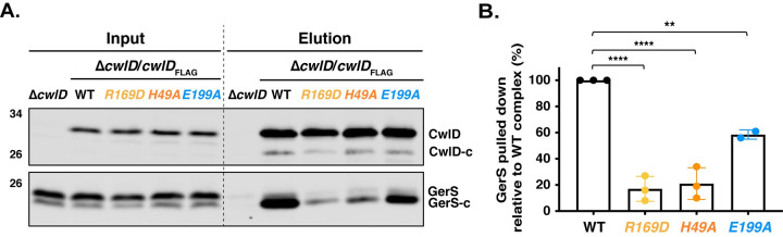 Fig 8