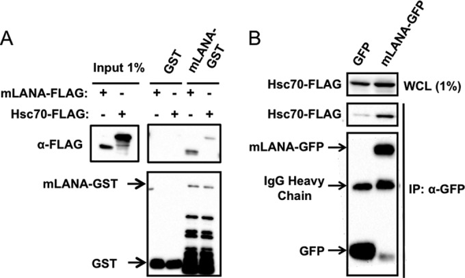 FIG 3