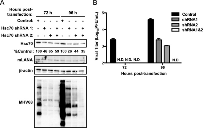 FIG 6