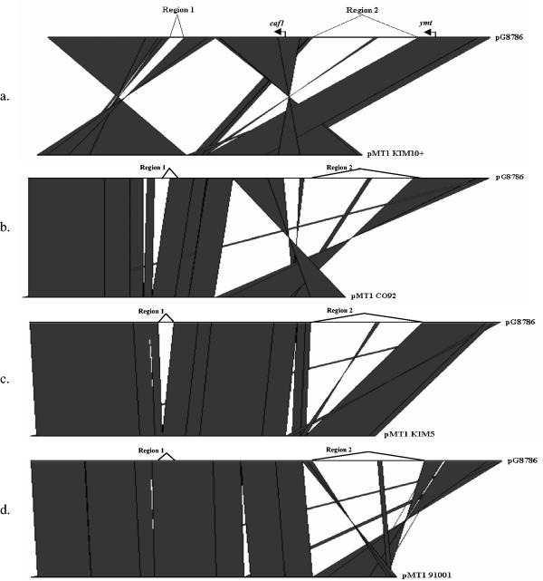 FIG. 3.