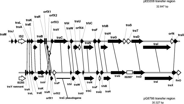 FIG. 5.